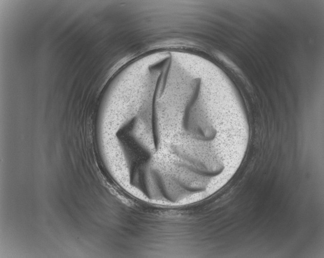 X0000080201329200701051739