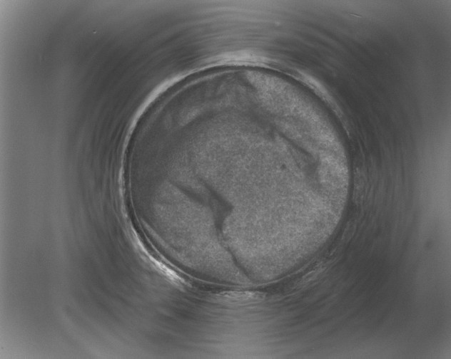 X0000080201331200701051739