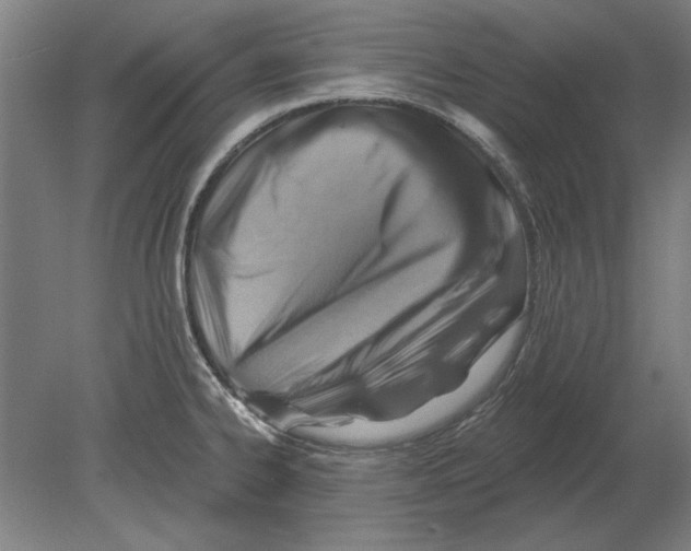 X0000080201334200701051739