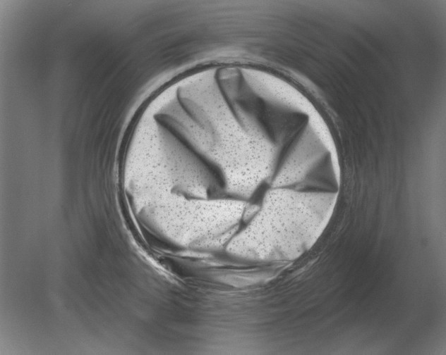 X0000080201335200701051739