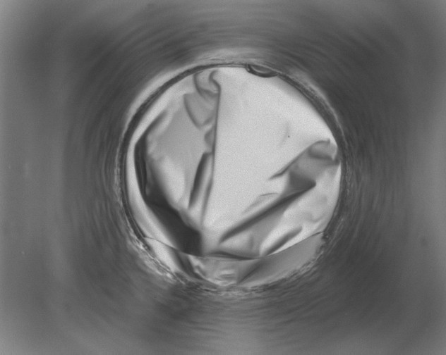 X0000080201336200701051739