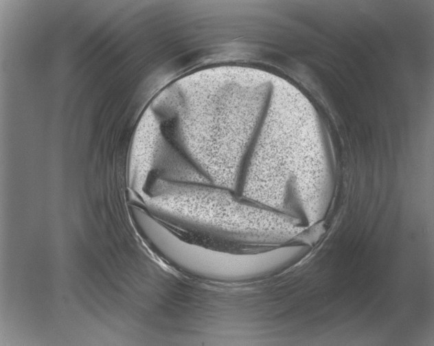 X0000080201337200701051739