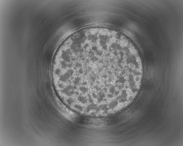 X0000080201338200701051739