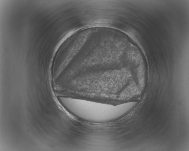 X0000080201341200701051739