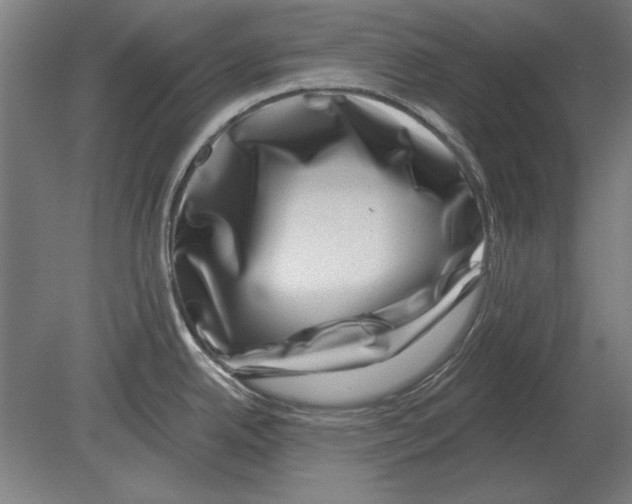 X0000080201342200701051739