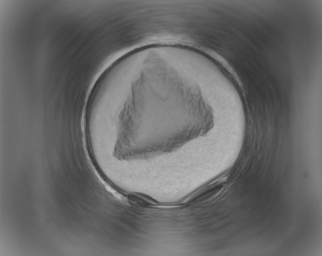 X0000080201343200701051739