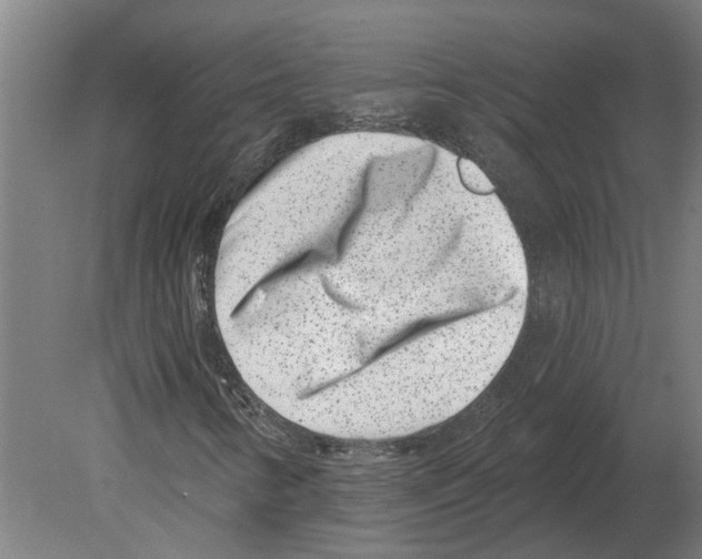 X0000080201346200701051738