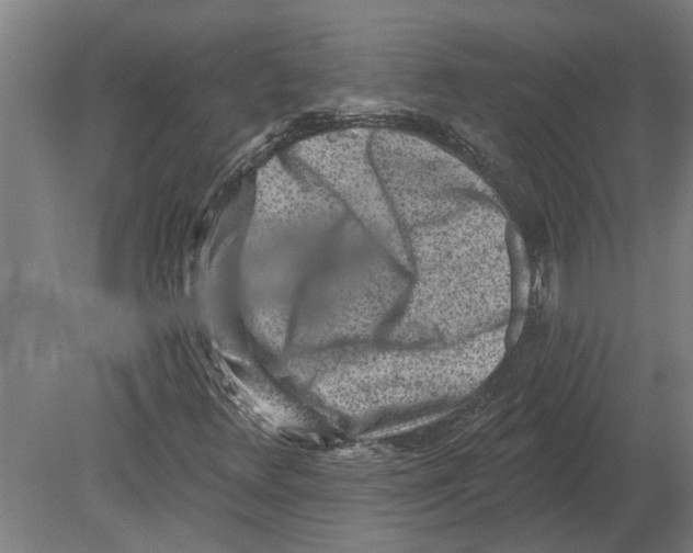 X0000080201348200701051738