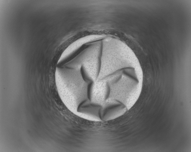 X0000080201350200701051738