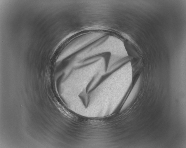 X0000080201356200701051738