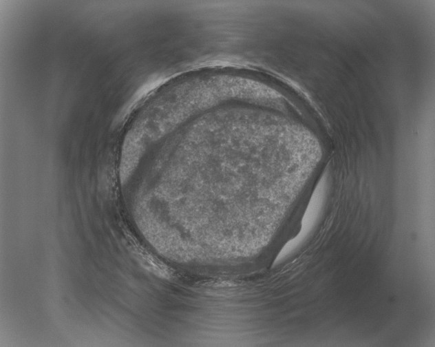 X0000080201359200701051738