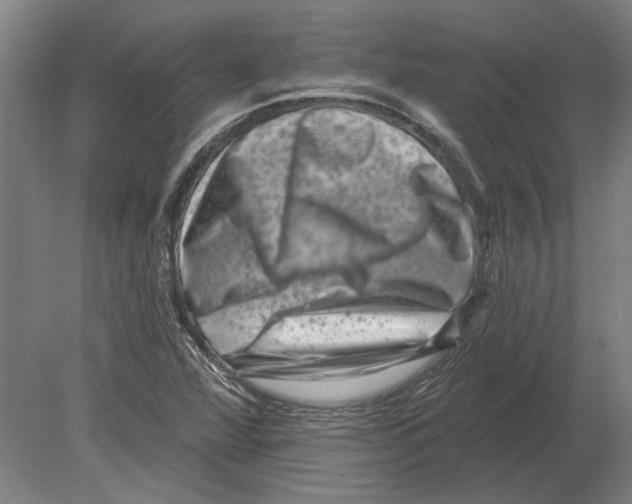 X0000080201360200701051738