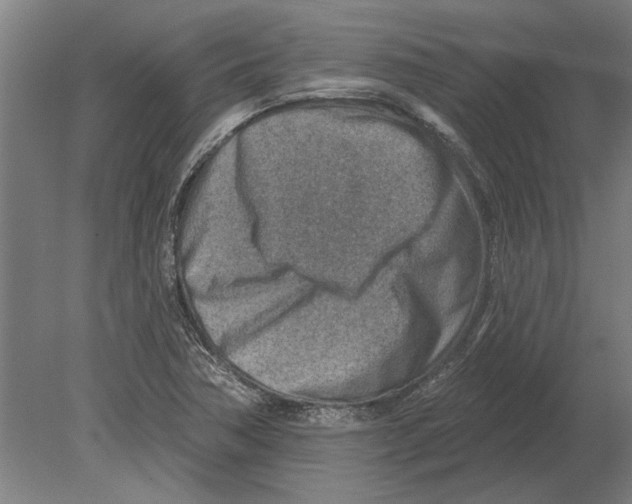 X0000080201362200701051738