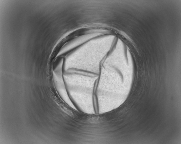 X0000080201364200701051738