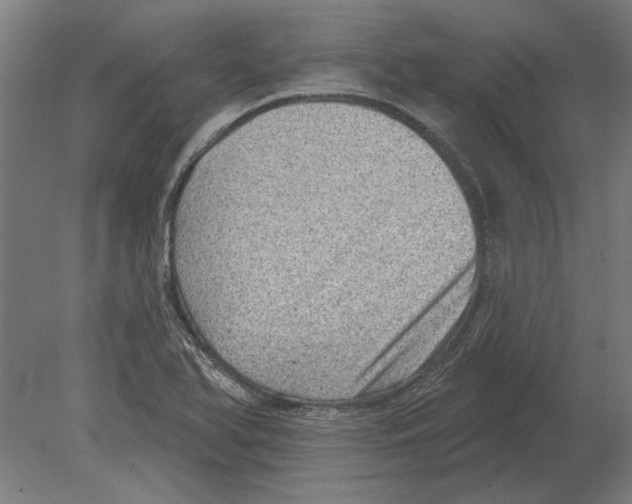 X0000080201366200701051738