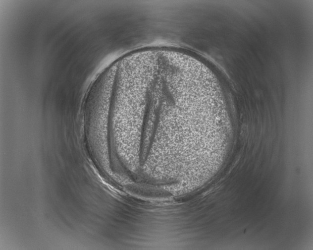 X0000080201367200701051738