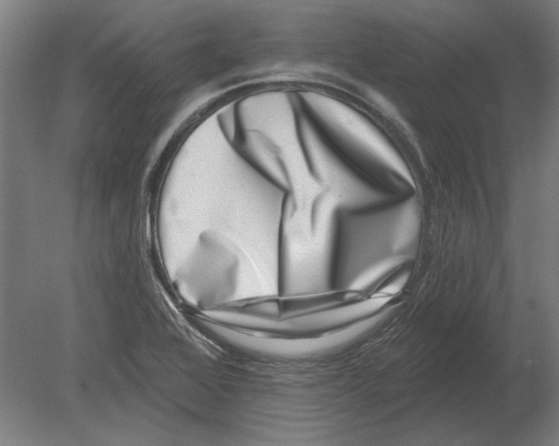 X0000080201368200701051738