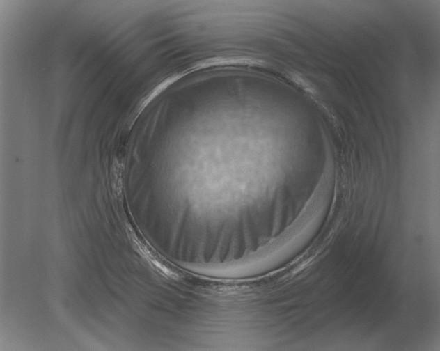 X0000080201369200701051738