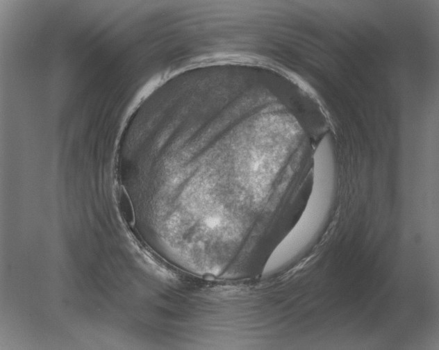 X0000080201373200701051738