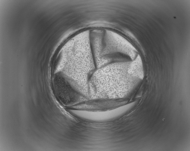 X0000080201376200701051738