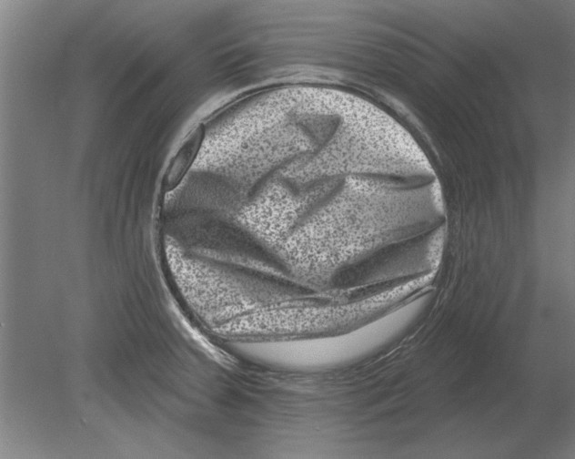 X0000080201379200701051737