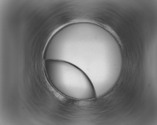 X0000080201380200701051737