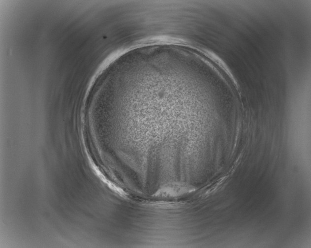 X0000080201381200701051737