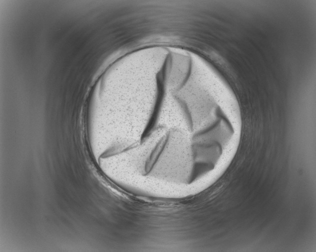 X0000080201382200701051737