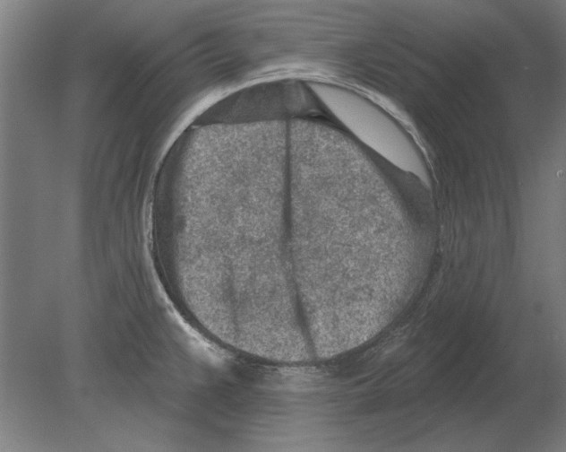 X0000080201383200701051737