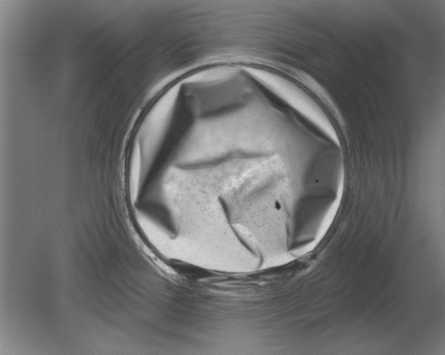 X0000080201388200701051737