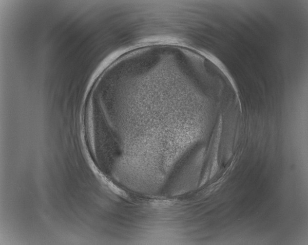 X0000080201389200701051737