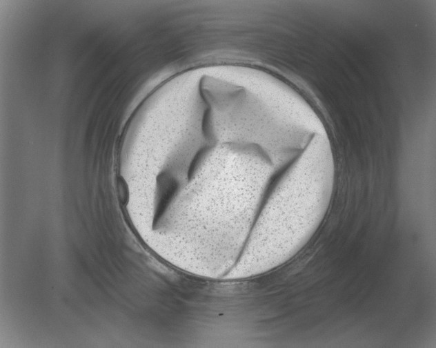 X0000080201390200701051737