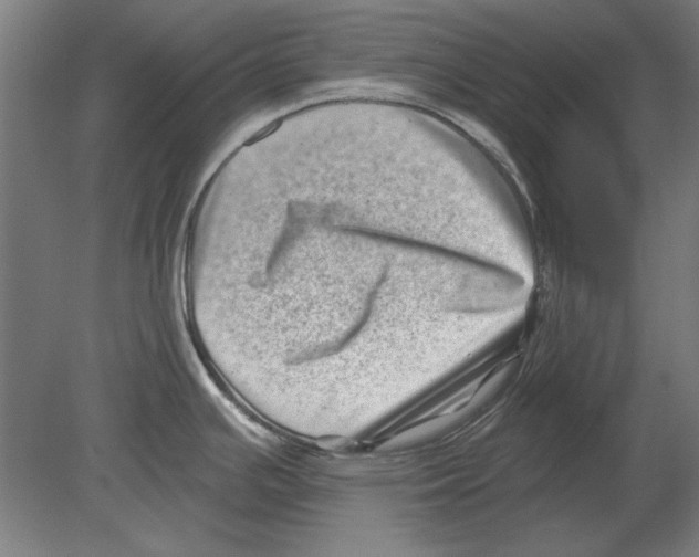 X0000080201391200701051737