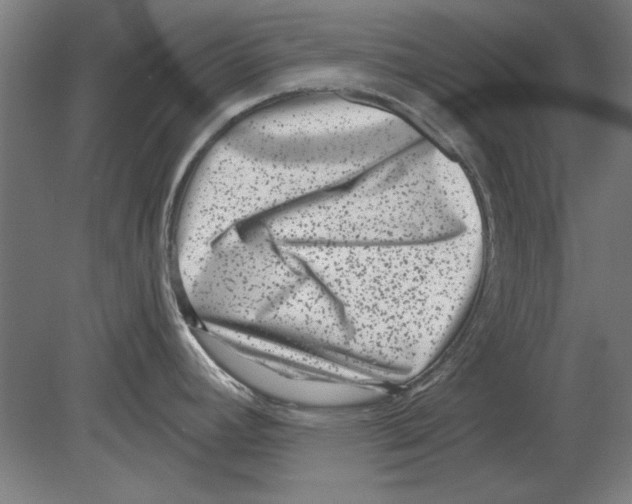 X0000080201392200701051737