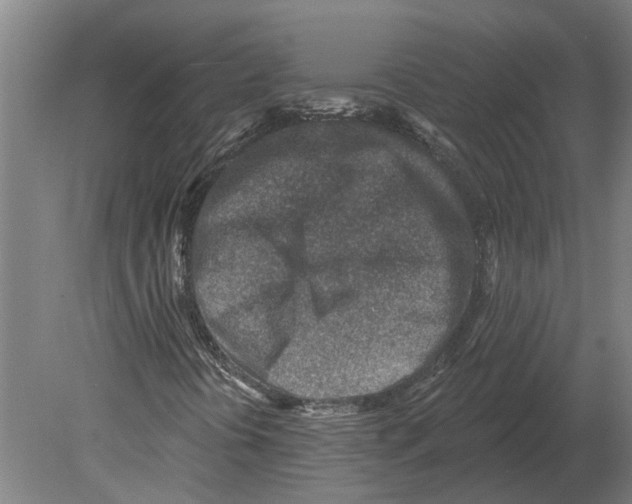 X0000080201394200701051736