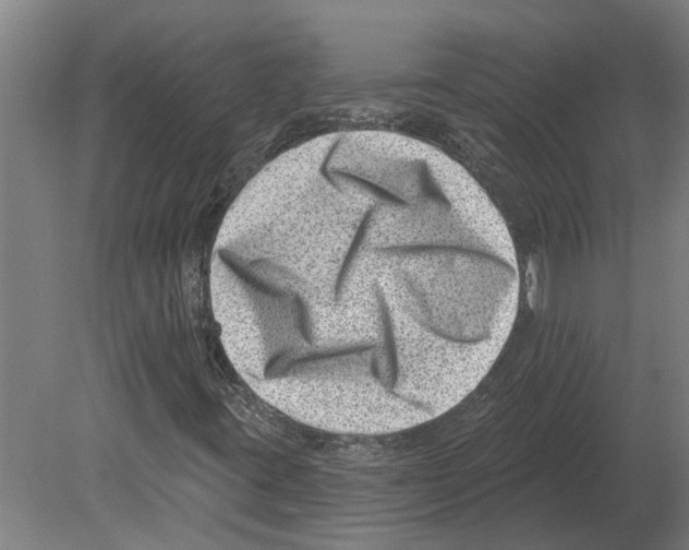 X0000080201395200701051737