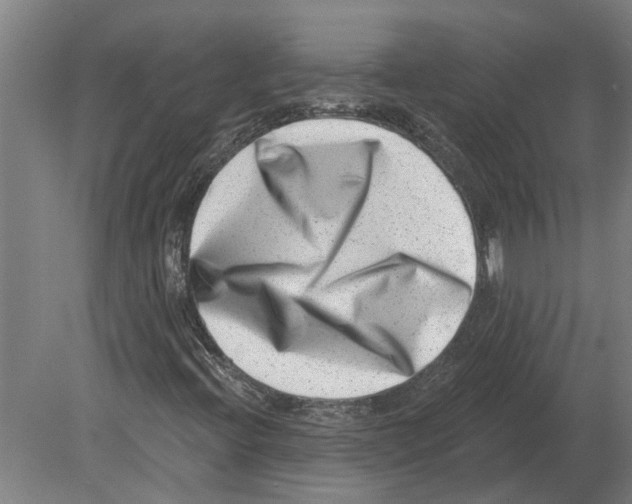 X0000080201396200701051737