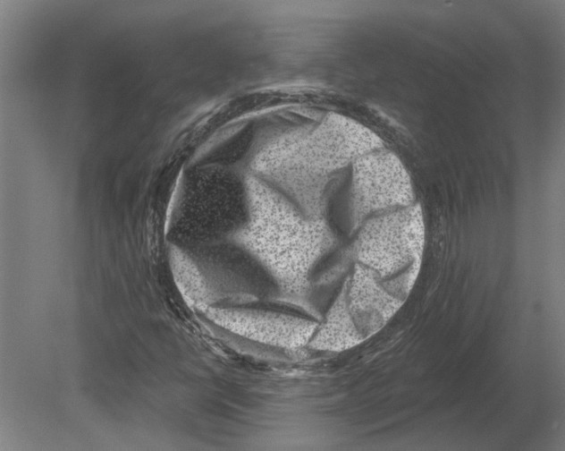 X0000080201398200701051737