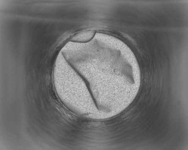 X0000080201407200701051737