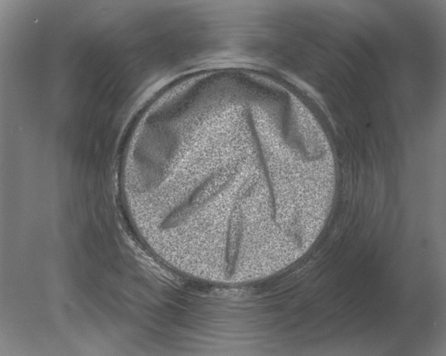 X0000080201415200701051737