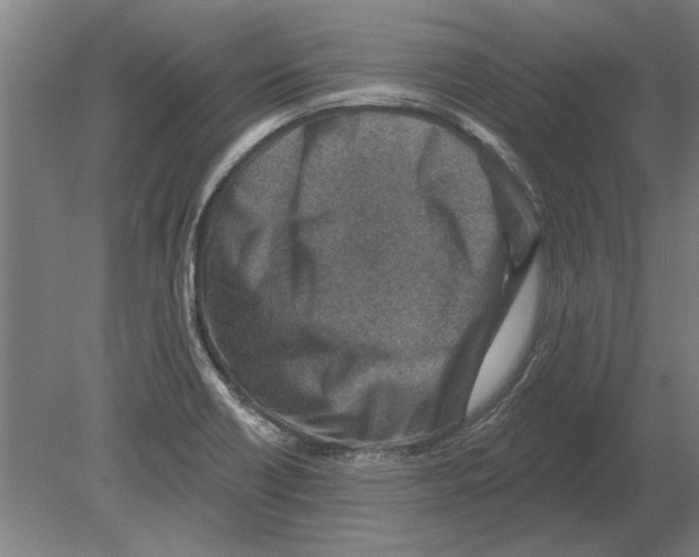 X0000080201418200701051737