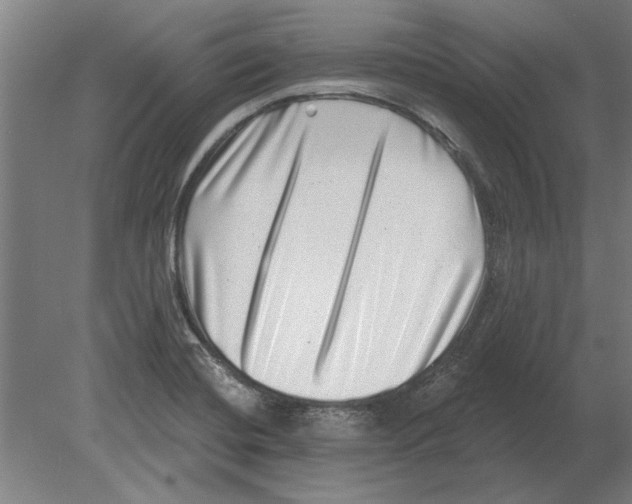 X0000080201420200701051737