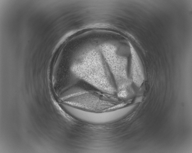 X0000080201422200701051737