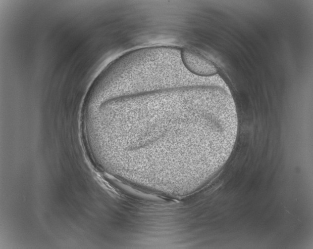 X0000080201423200701051737