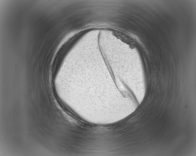 X0000080201424200701051737