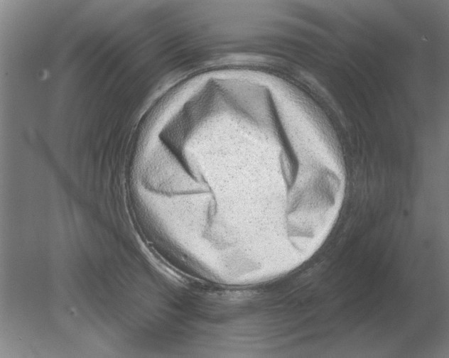 X0000080201425200701051737