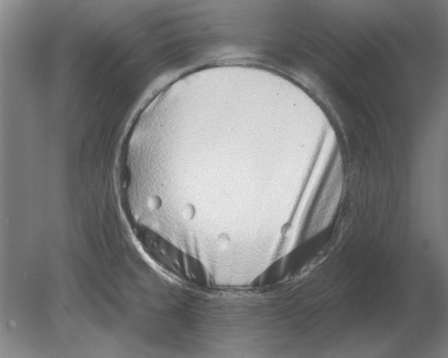 X0000080201429200701051737