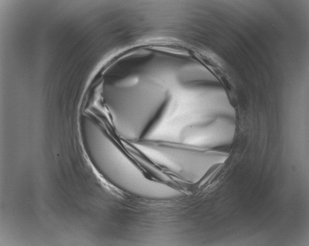 X0000080201430200701051737