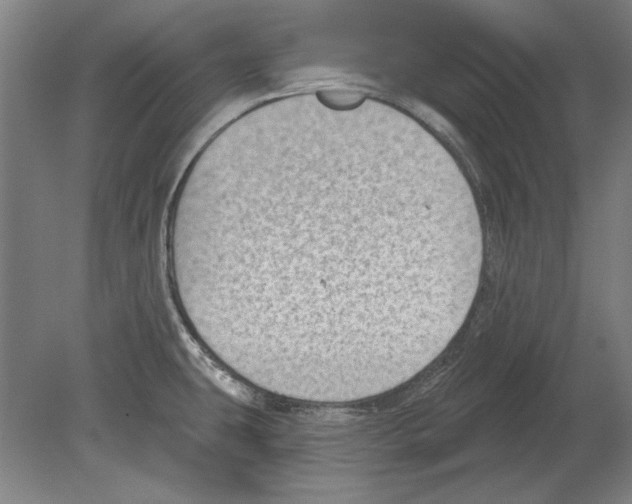 X0000080201431200701051737