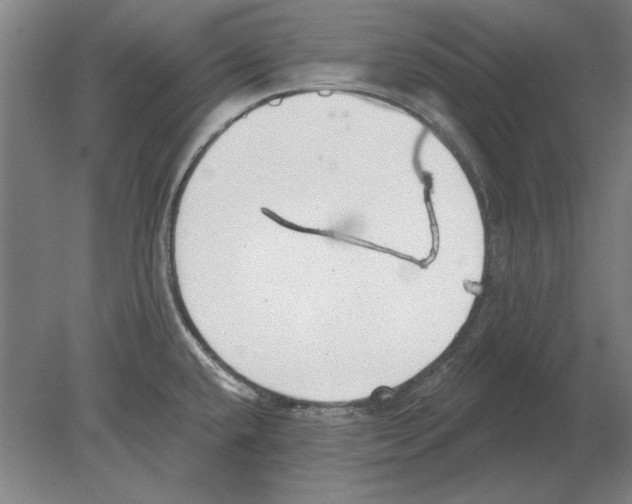 X0000080201432200701051737